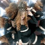 Bucket List Adventures The Experiences to Add to Your List